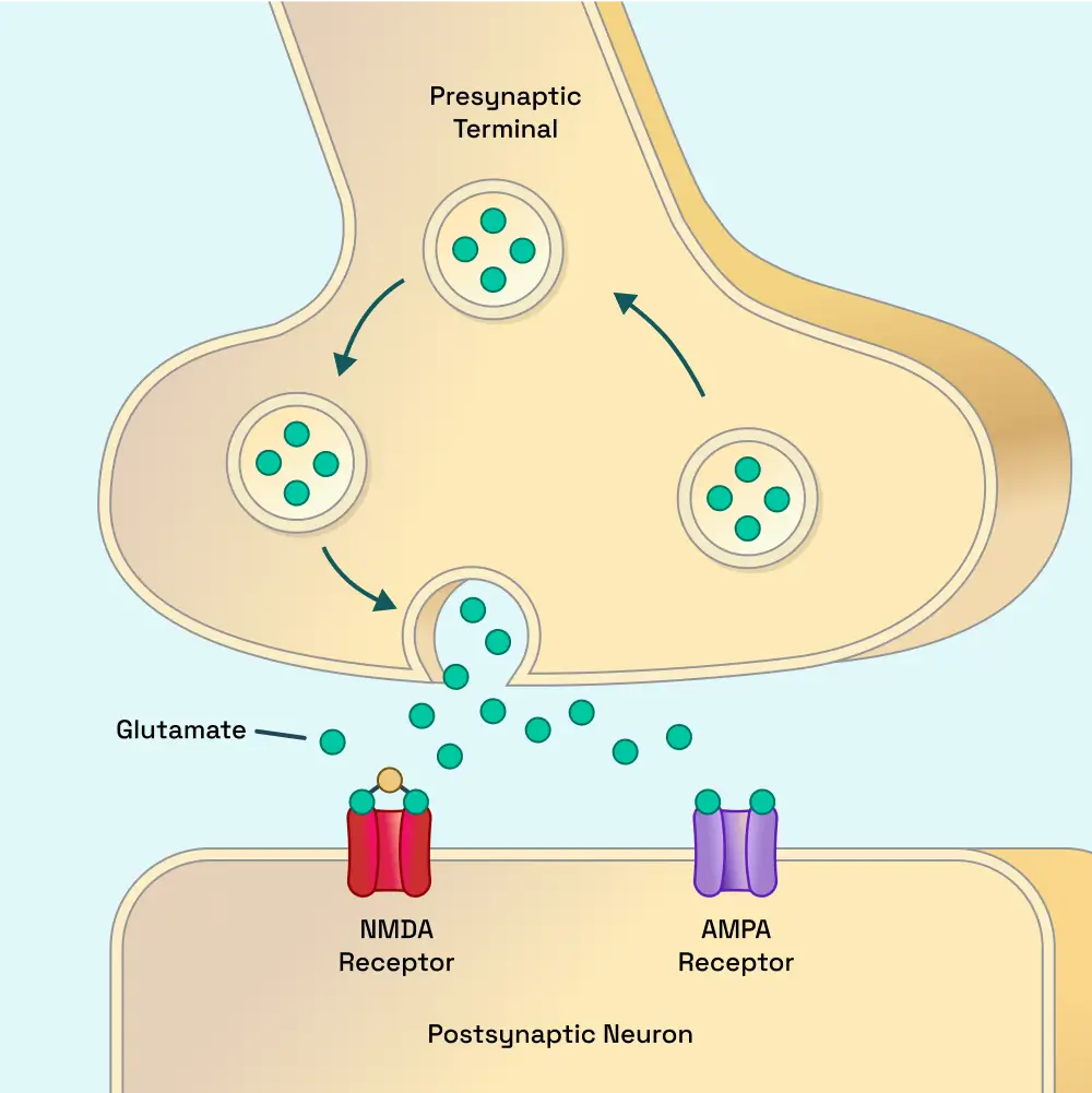 ketamine NMDA receptor